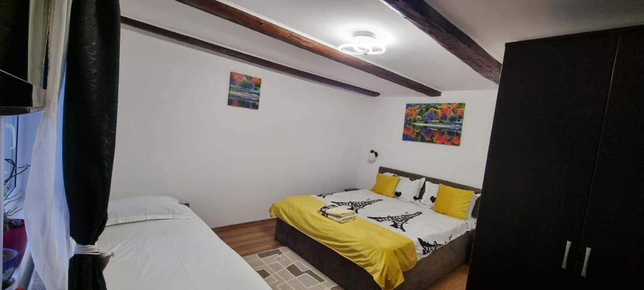 Casa De Oaspeti Laura Risnov Bagian luar foto